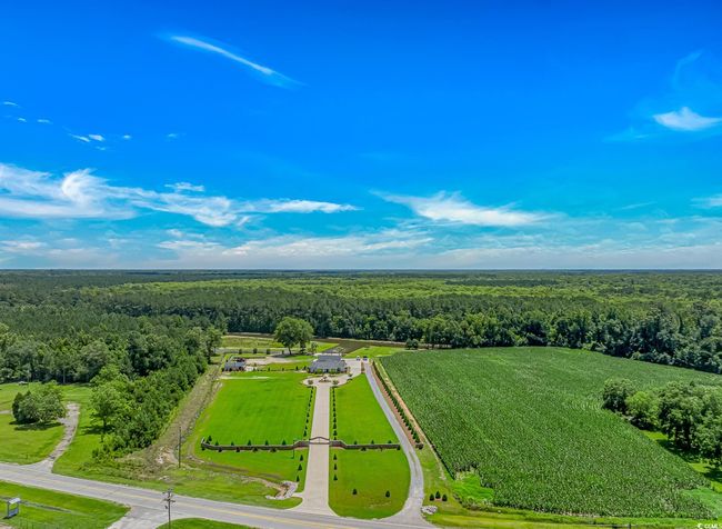 Aerial view of a forest | Image 34