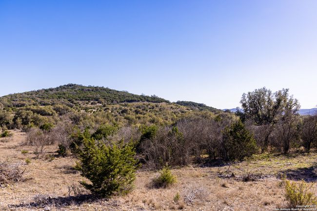 2350 Little Dry Frio Rd, Home with 0 bedrooms, 0 bathrooms and null parking in Rio Frio TX | Image 11