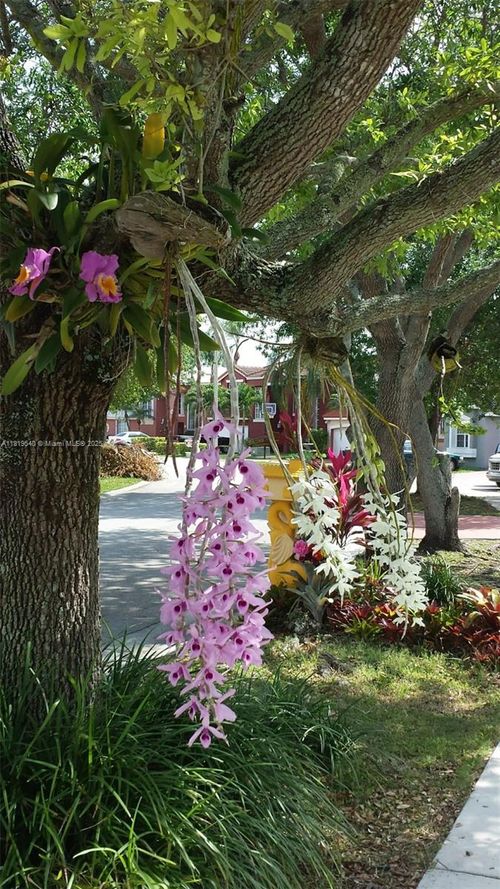 15640 Sw 98th St, Miami, FL, 33196-3873 | Card Image