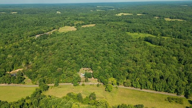 1194 Bailey Hollow Rd, House other with 3 bedrooms, 2 bathrooms and 6 parking in Erin TN | Image 30