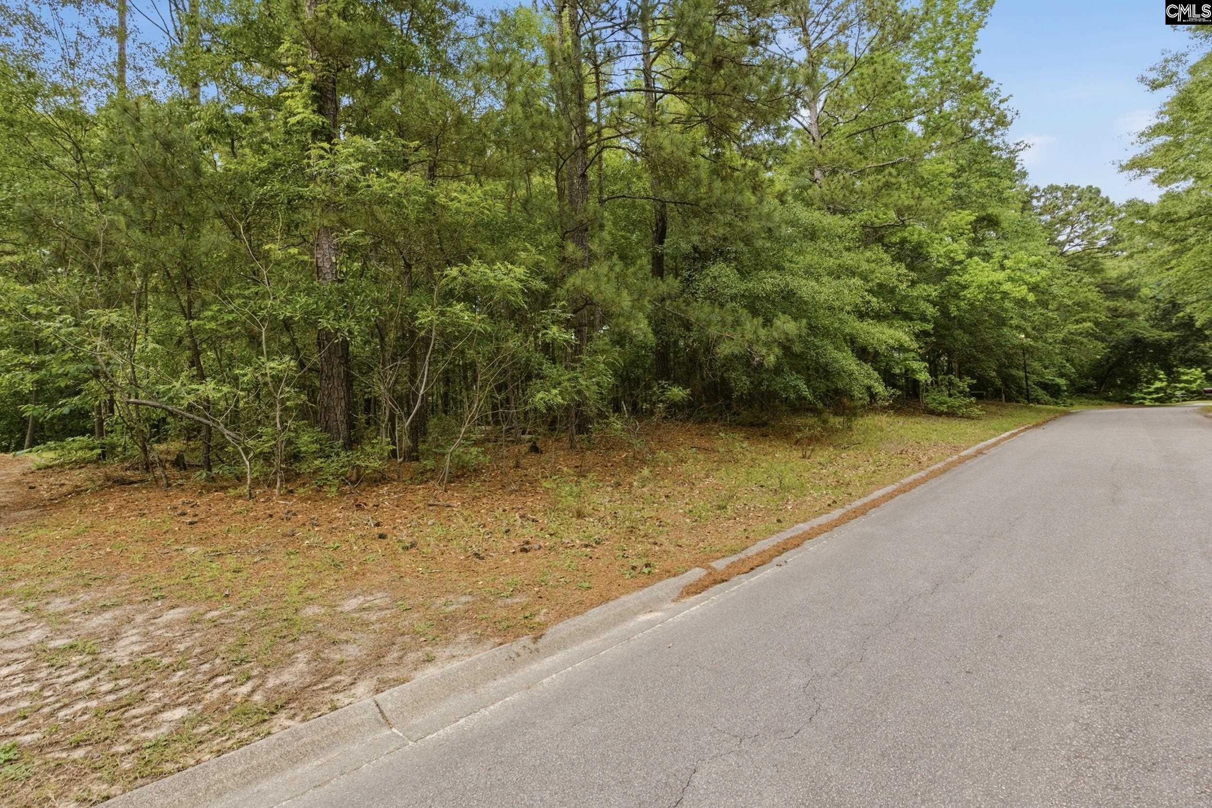 Land in Blythewood 4