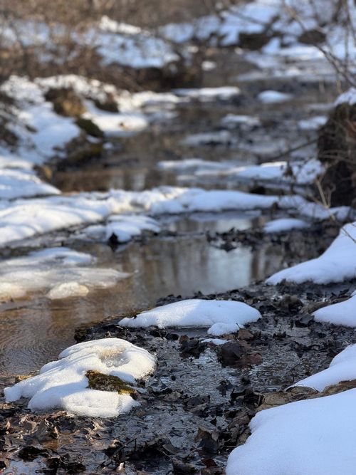 970 Covey Rd, Mountain Grove, MO, 65711-2437 | Card Image