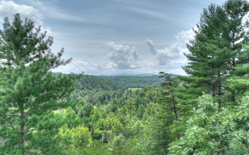 LT 22 Rolling Hls, Morganton, GA, 30560 | Card Image