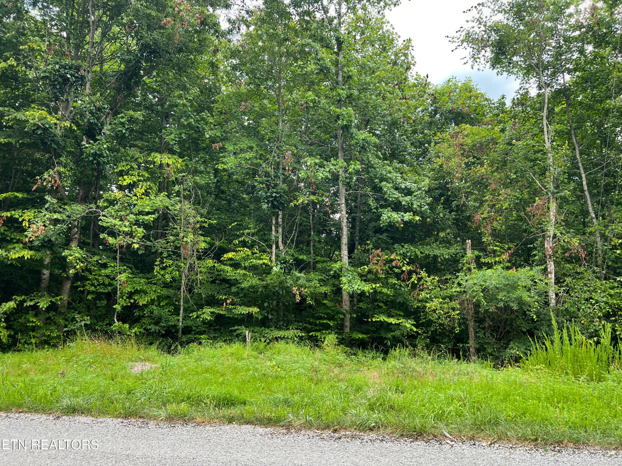 Land in Tazewell 3