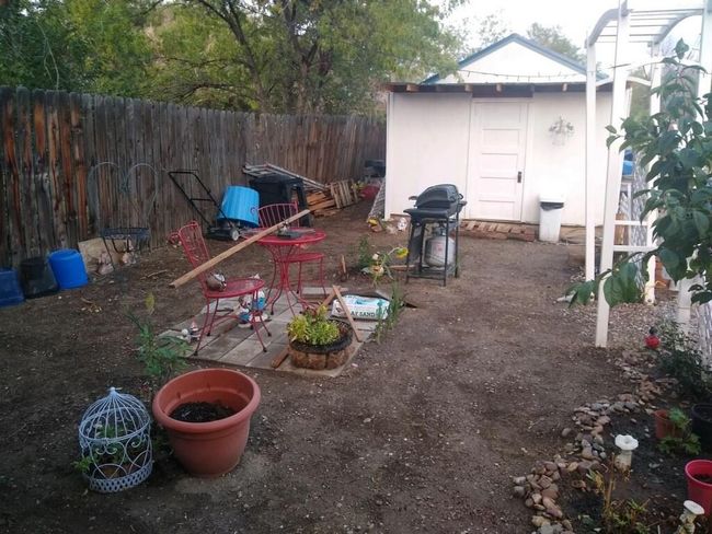 View of yard featuring a patio area and a storage shed | Image 4