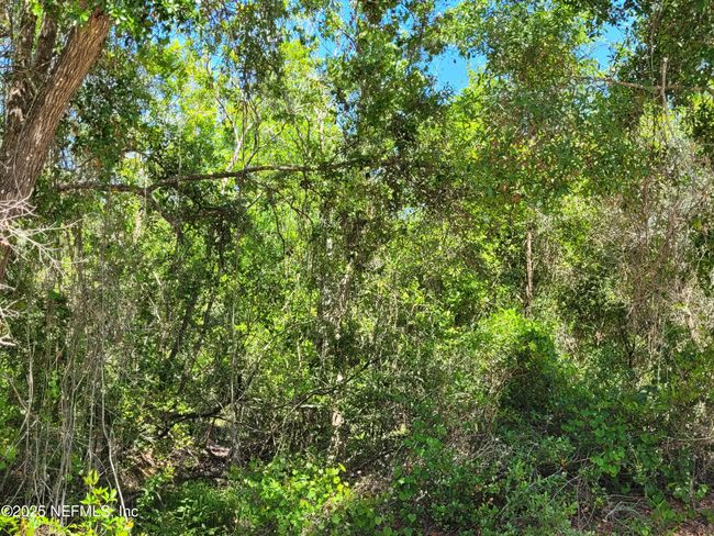 2155 State Road 40, Home with 0 bedrooms, 0 bathrooms and null parking in De Leon Springs FL | Image 81