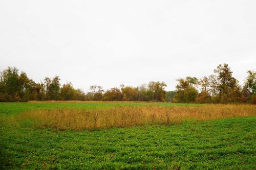 2 County Rd S, Adell, WI, 53001 | Card Image