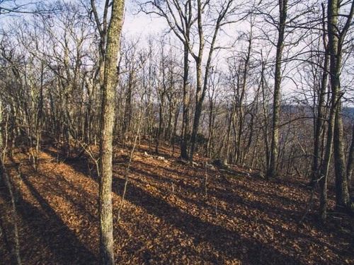 0 Wolf Creek Hwy, Narrows, VA, 24124 | Card Image