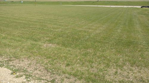 Xxx N Pelican St, Elizabeth, MN, 56533 | Card Image