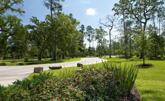 Beautiful Walking Trails | Image 7