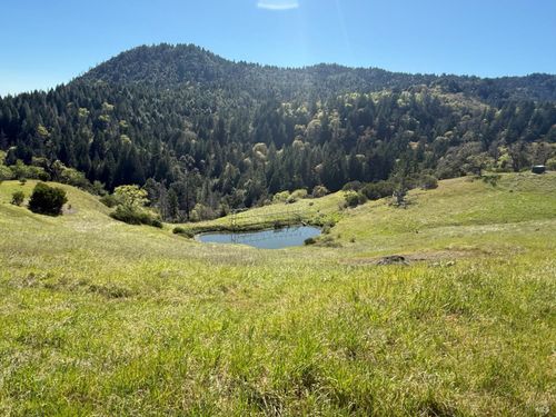 8001 Simmerly Rd, Laytonville, CA, 95454 | Card Image