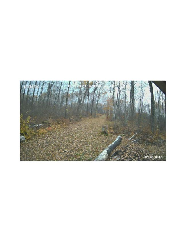 61613 Park Hills Road picture of driveway | Image 4