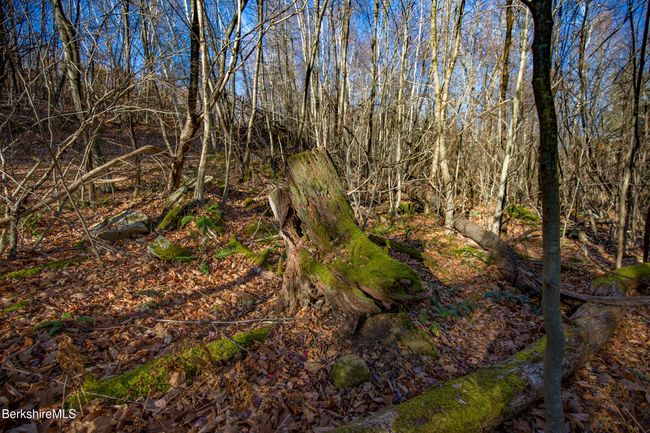 0 Goose Pond Rd, Home with 0 bedrooms, 0 bathrooms and null parking in Tyringham MA | Image 13