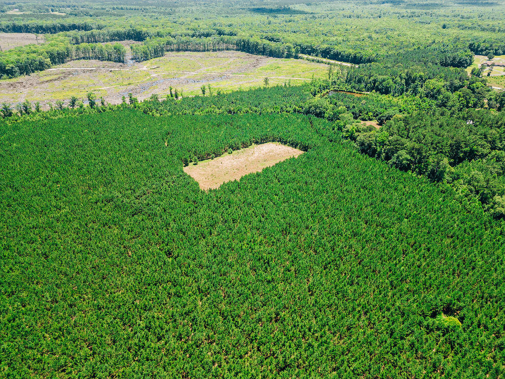 Land in Islandton 2