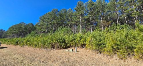 Lot 41 Deyton Drive, Blairsville, GA, 30512 | Card Image