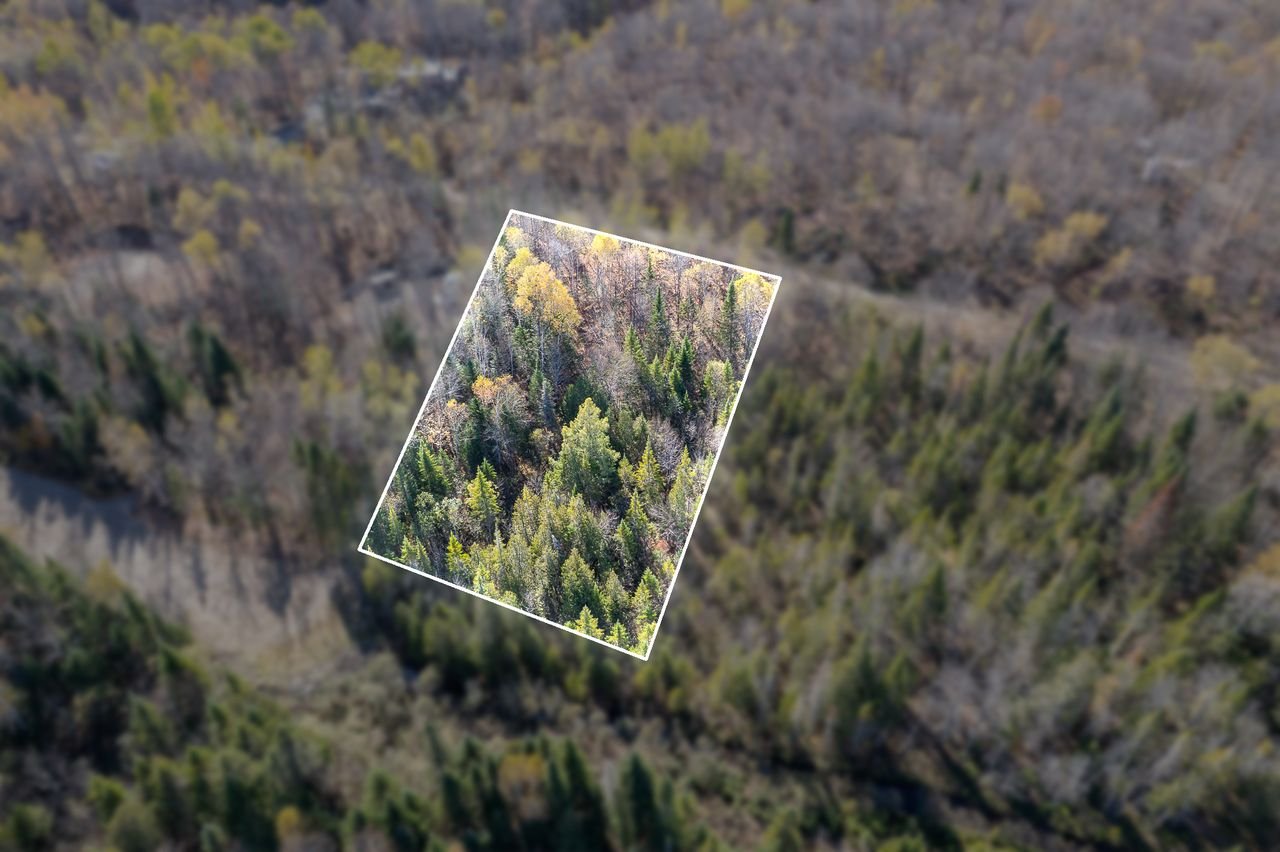 Land in Saint-Didace 3