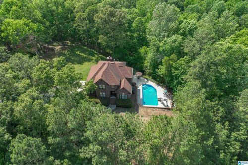 169 Sweet Gum Dr, Chelsea, AL, 35043-5205 | Card Image