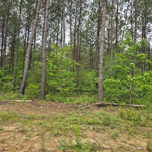 Lot 12 Holly Woods, Robbins, TN, 38562 | Card Image
