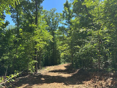 10 Riverside Benleo Rd, Bowling Green, KY, 42101 | Card Image