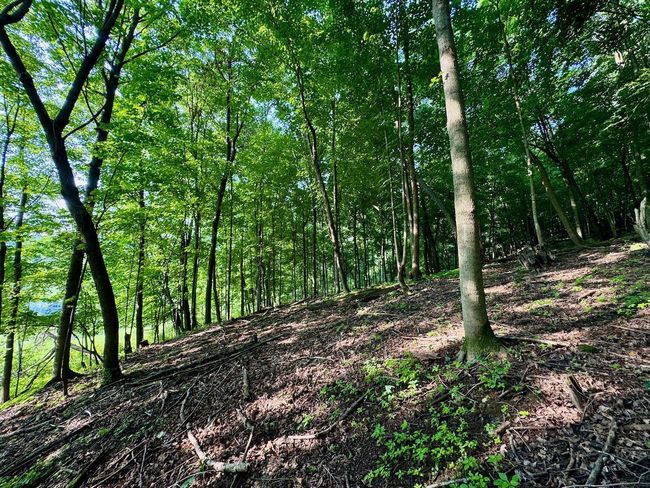 E13758 Highway 82, House other with 4 bedrooms, 2 bathrooms and null parking in Stark WI | Image 53
