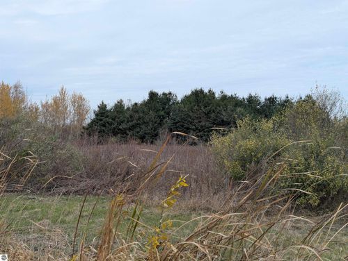 N/A Manor Rd, Au Gres, MI, 48703 | Card Image