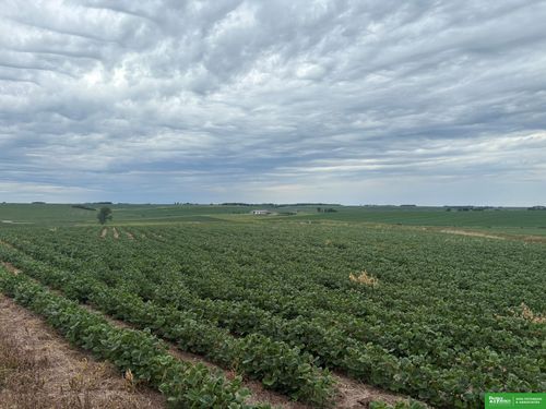81 Acres County Line Rd, Hooper, NE, 68031-1400 | Card Image