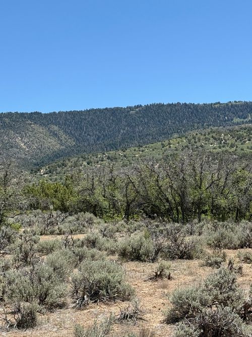 9-9 E Hollow Rd, Chester, UT, 84623 | Card Image