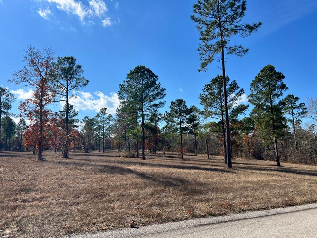1415 Dasher Circle, Home with 0 bedrooms, 0 bathrooms and null parking in Aiken SC | Image 4