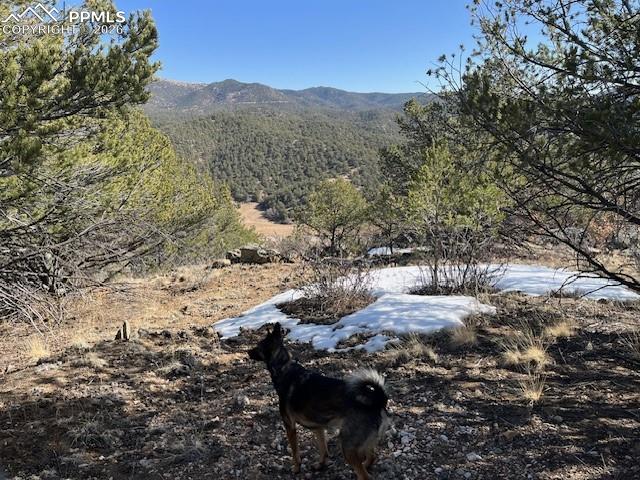 Land in Canon City