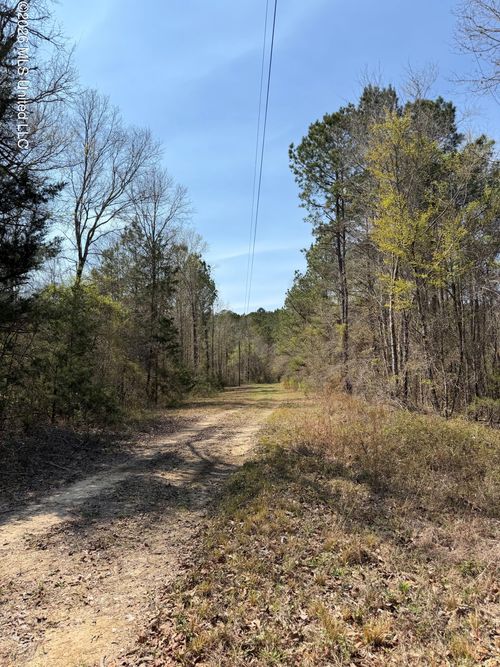 285 Mount Horeb Rd, Meridian, MS, 39301-8103 | Card Image