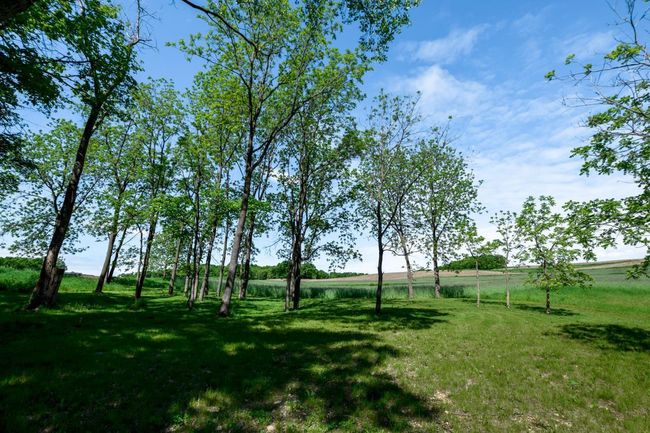 Lot 1 Stone Valley Road, Home with 0 bedrooms, 0 bathrooms and null parking in BERRY WI | Image 5