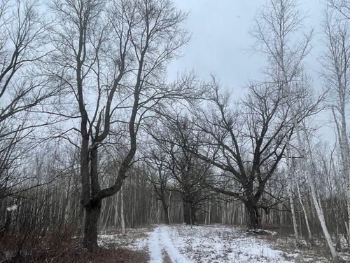 27XX 320th Ave, Brook Park, MN, 55007 | Card Image