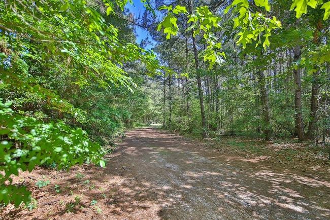 6320 Medley Rd, House other with 3 bedrooms, 2 bathrooms and null parking in New Waverly TX | Image 5