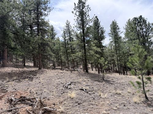 88 Crystal Ln, Lake George, CO, 80827 | Card Image