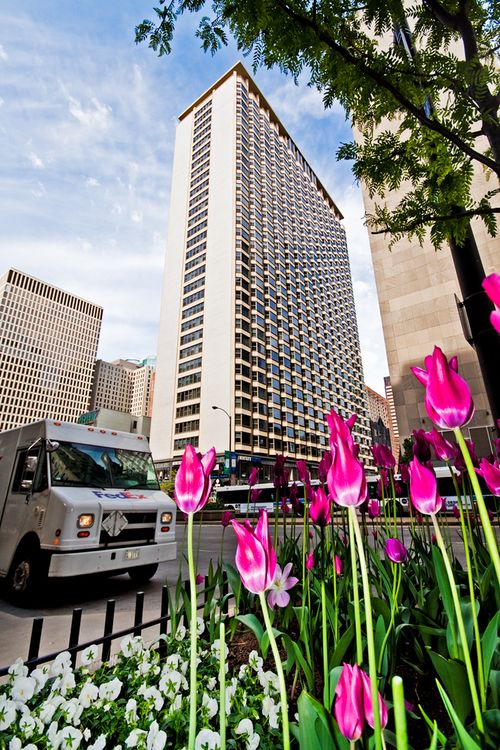 2815-535 N Michigan Ave, Chicago, IL, 60611-3864 | Card Image