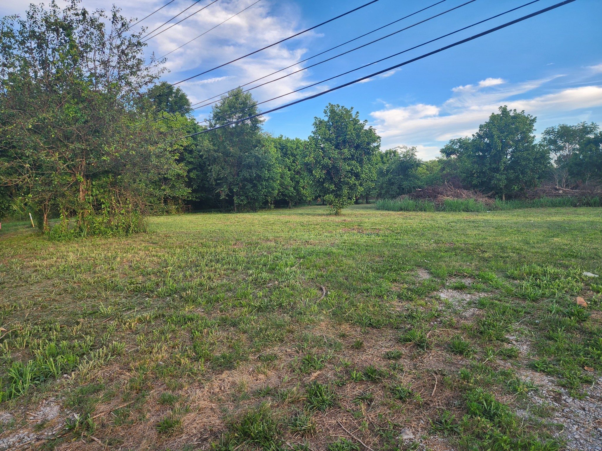 Land in Smyrna 5