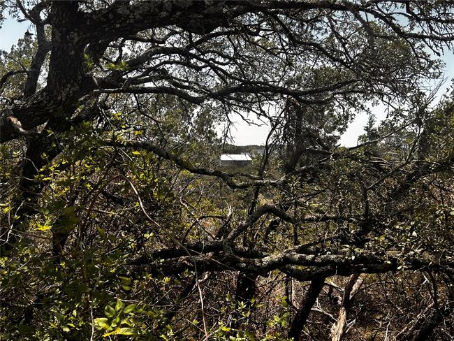View through the trees. | Image 6