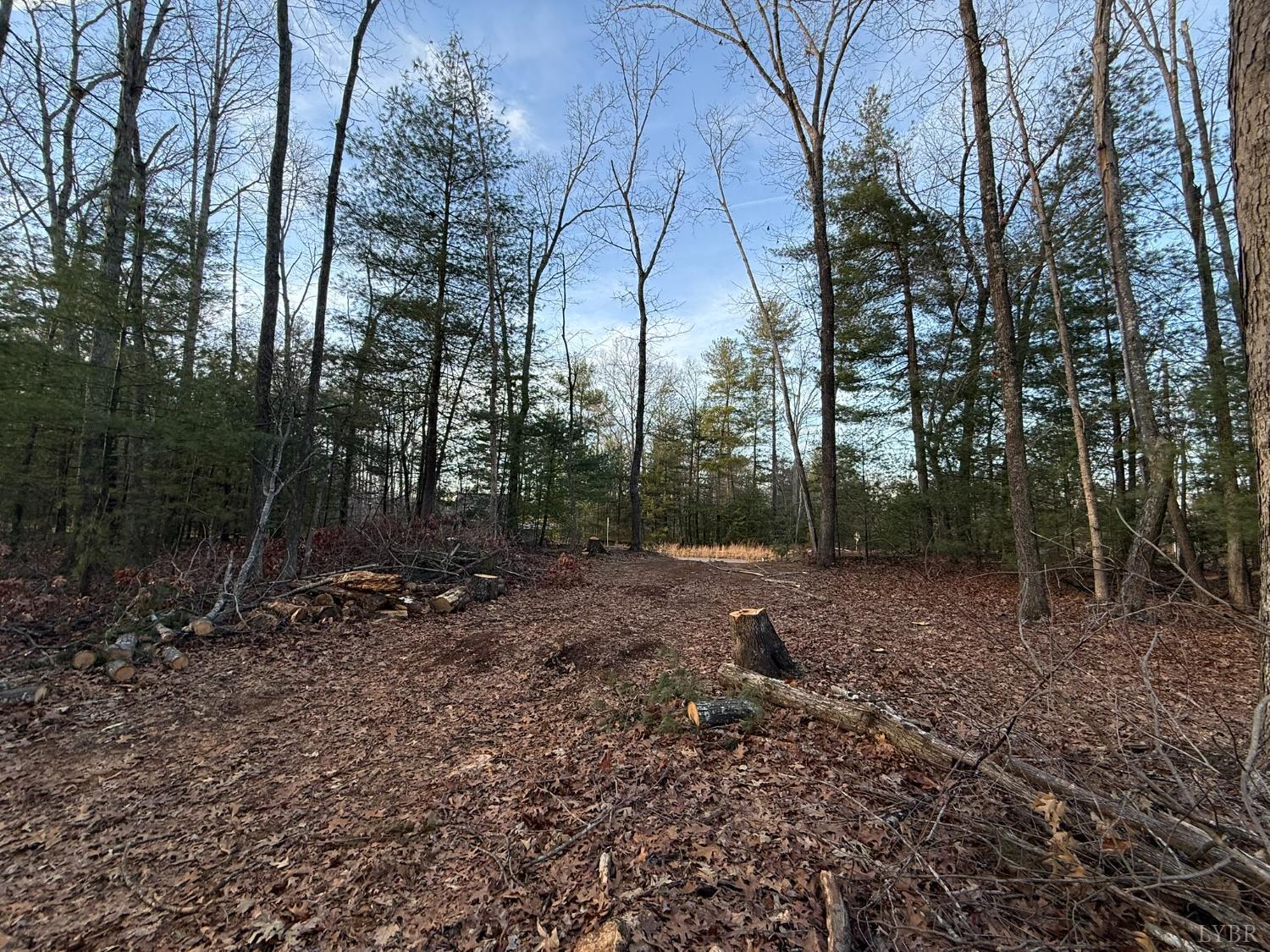 Land in Monroe 4