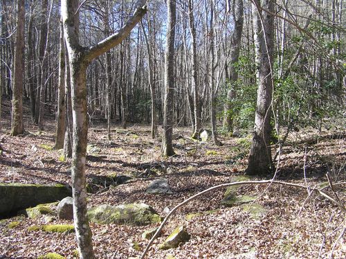 151 Indian Trails Drive, Spencer, TN, 38585 | Card Image