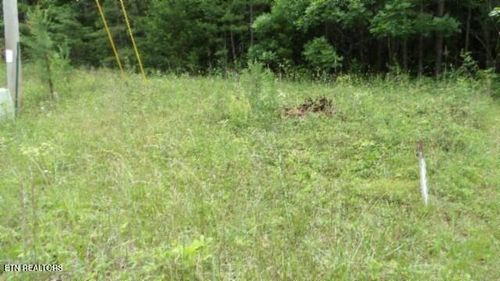 Lot 48 Parkstown Rd, Wilder, TN, 38589 | Card Image