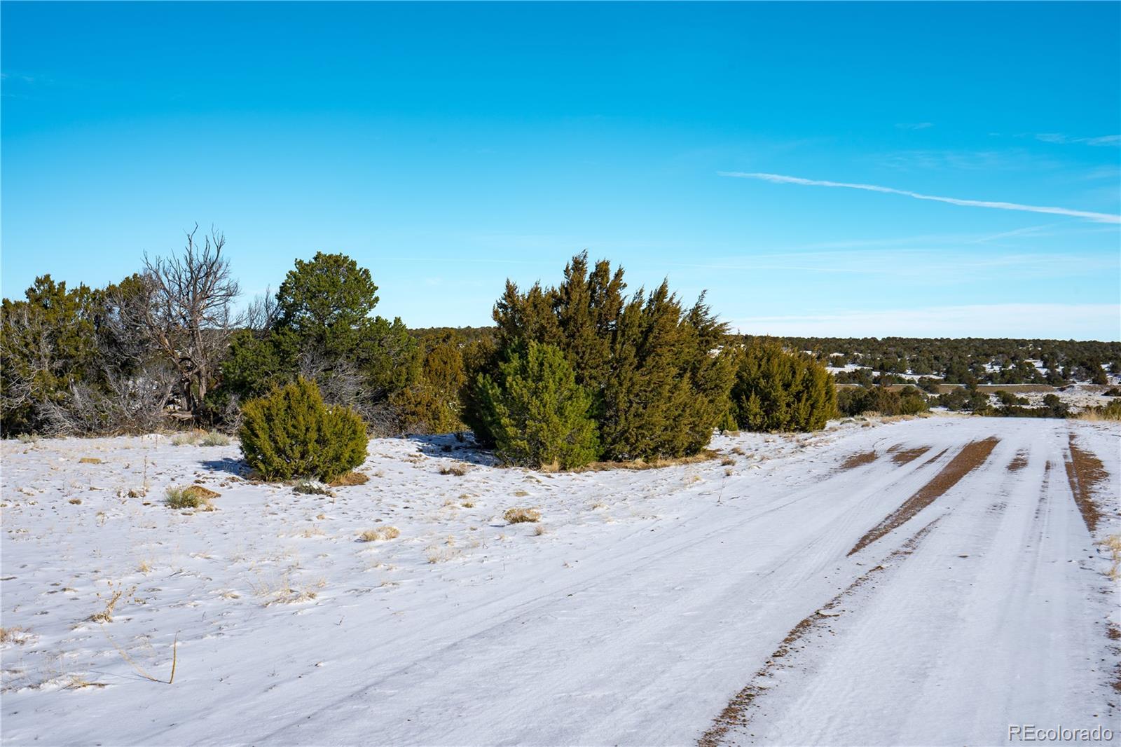 Land in Walsenburg 5