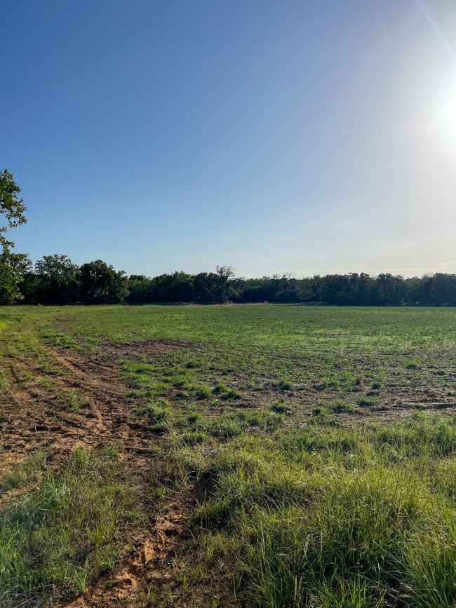 View of undeveloped land featuring rural landscape | Image 26