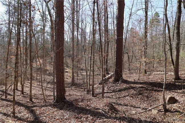 0 Golf Course Rd, Home with 0 bedrooms, 0 bathrooms and null parking in Halifax VA | Image 45