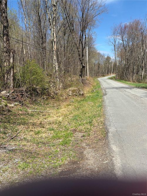 209 Stream Hollow, Fallsburg, NY, 12428 | Card Image