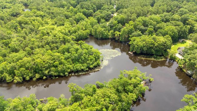 Aerial view of a large body of water and a heavily wooded area | Image 34