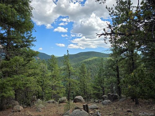 222 Blue Spruce Rd, Divide, CO, 80814-7766 | Card Image