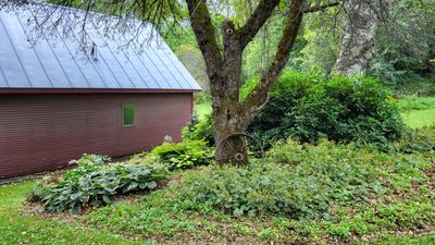 3465 Bear Hill Road, House other with 5 bedrooms, 2 bathrooms and null parking in Brookfield VT | Image 3