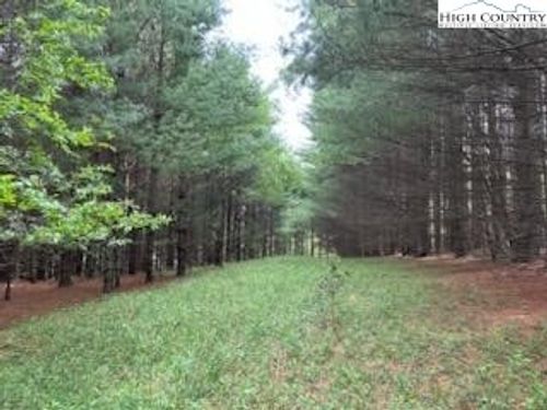 TBD Fox Ridge Rd, Glade Valley, NC, 28627 | Card Image