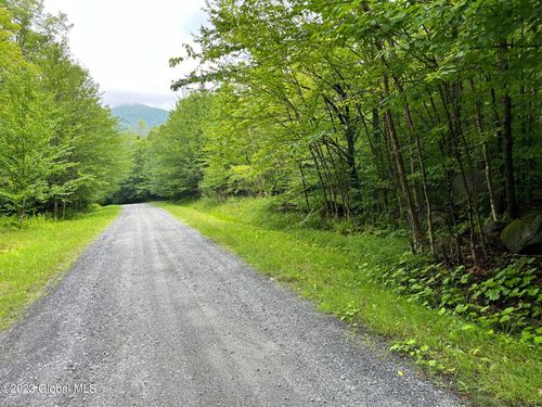 L93 Ruby Mountain View Dr, North River, NY, 12856 | Card Image