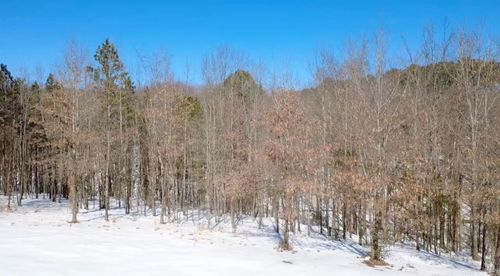 000 Caddy Cove Ln. Lot 34, Mountain View, AR, 72560 | Card Image
